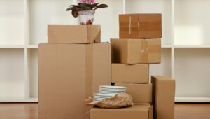 Packers and Movers HITEC City