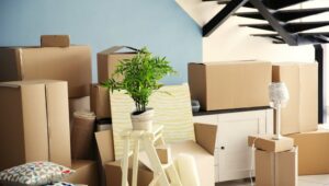 Packers and Movers Malakpet