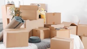 Packers and Movers Manikonda
